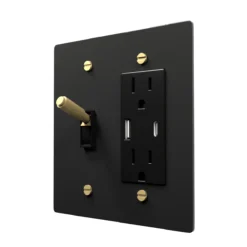 Toggle and outlet combo