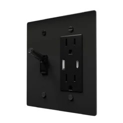 Toggle and outlet combo