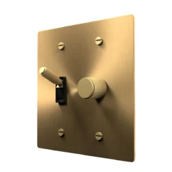 Rotary dimmer and toggle combo