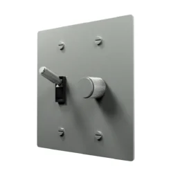 Rotary dimmer and toggle combo