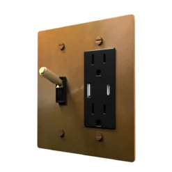Toggle and outlet combo