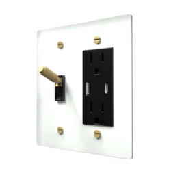 Toggle and outlet combo