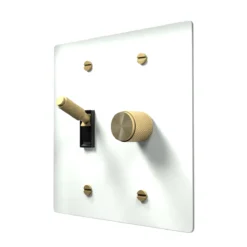 Rotary dimmer and toggle combo
